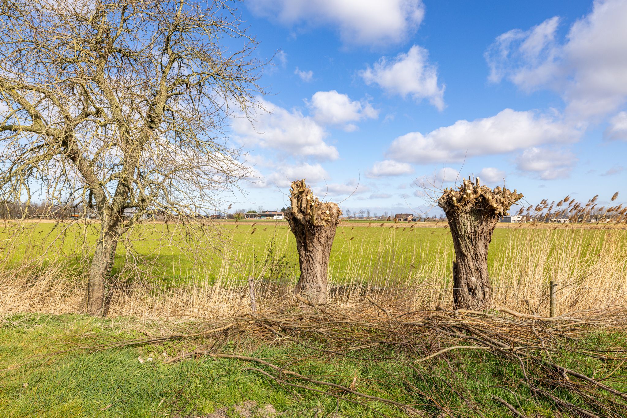 Landbouwbedrijfszetel te Bassevelde foto 20