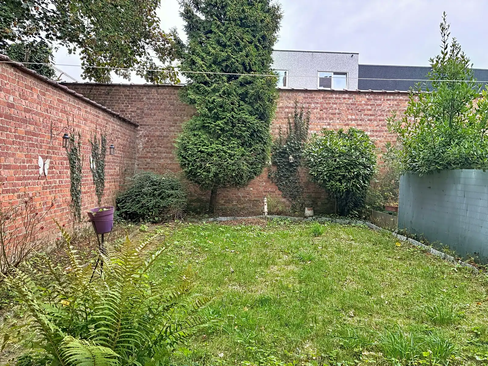 Studio met tuin foto 11
