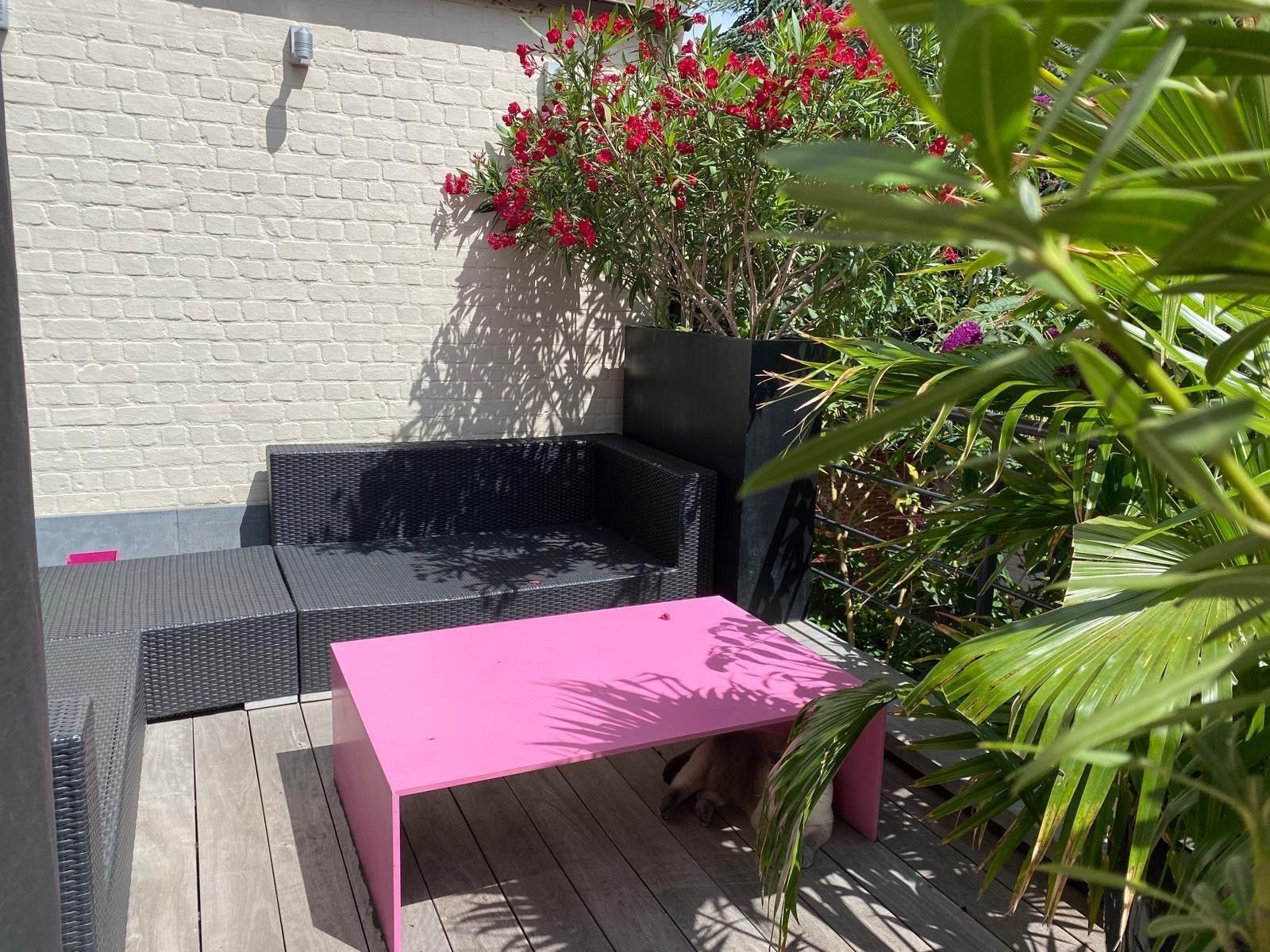 Instapklare woning met 3 à 4 slpks, praktijkruimte en garage foto 18
