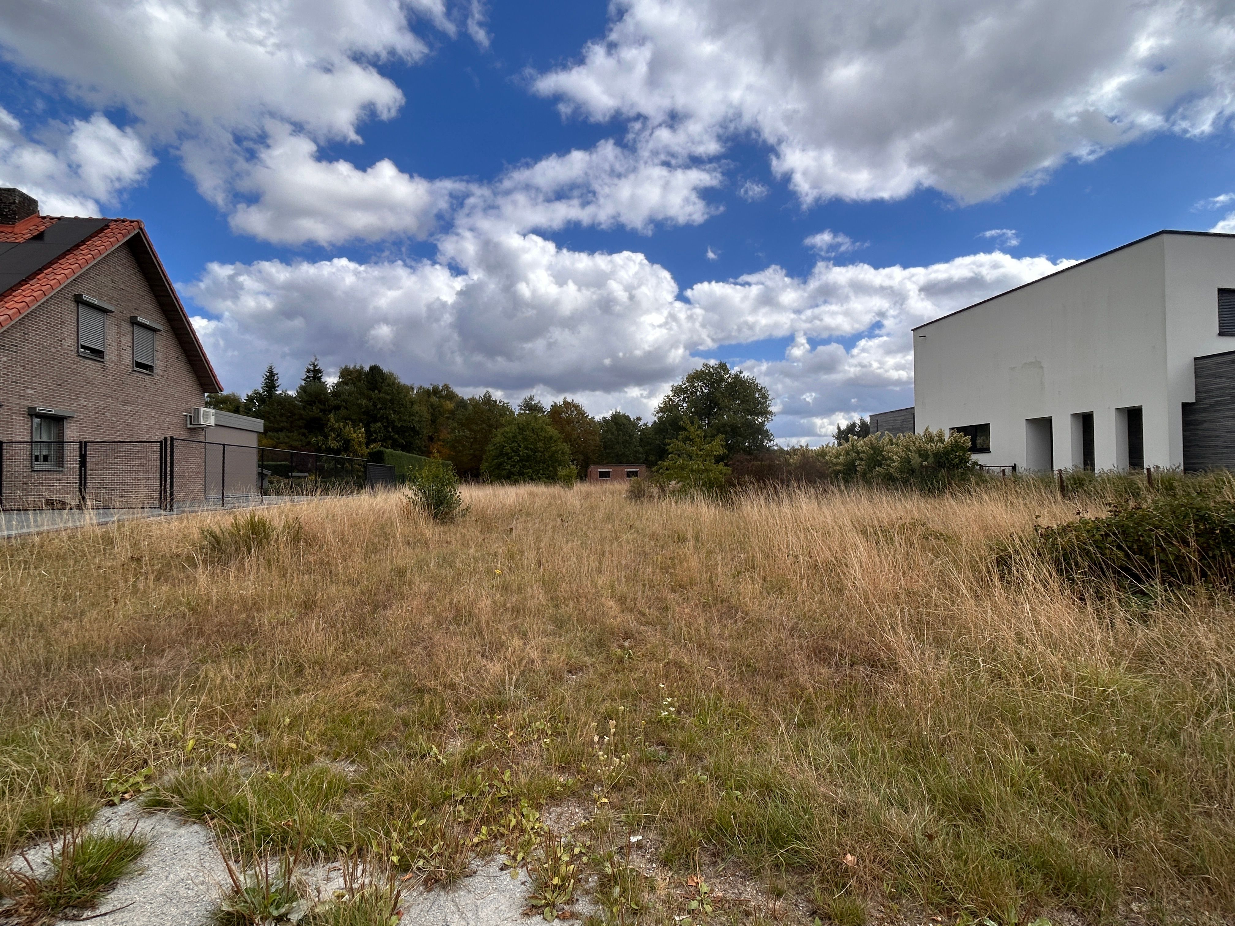 Grond te koop Spechtenstraat 6 - 3940 Hechtel-Eksel