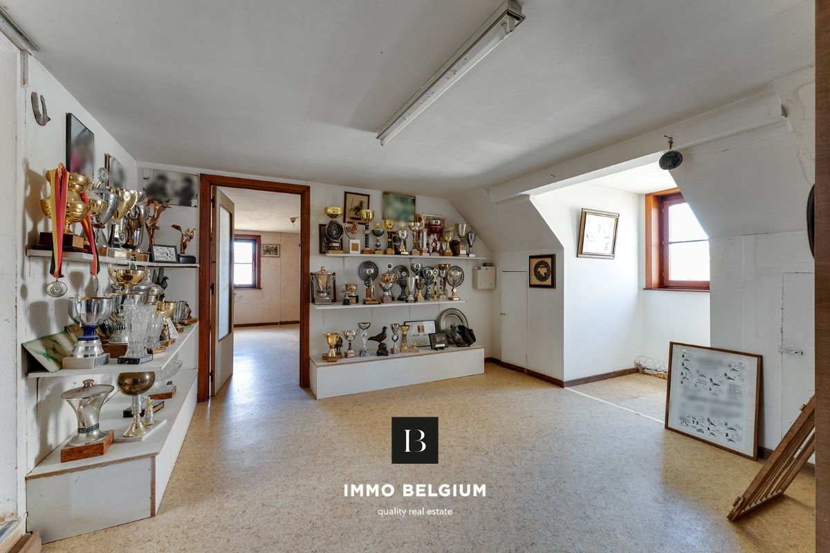 Ruime villa nabij het centrum met veel mogelijkheden foto 15