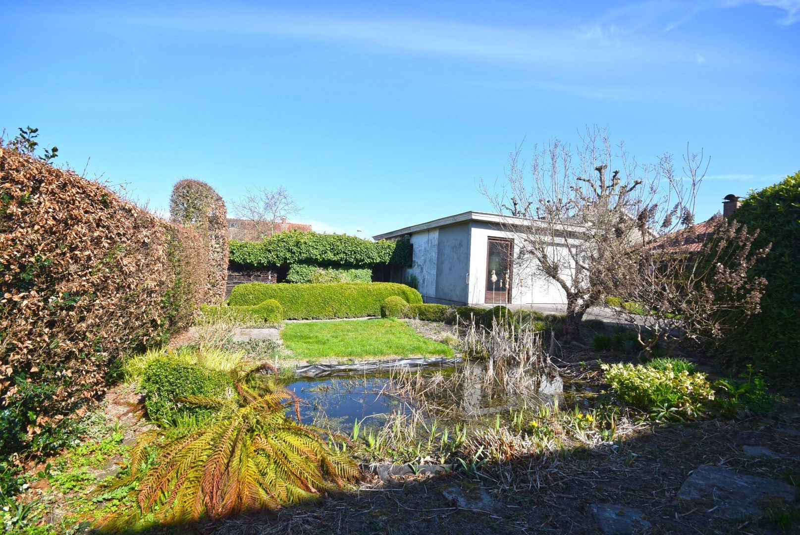 CHARMANTE BUNGALOW MET RUIME TUIN EN BIJGEBOUWEN IN ROESELARE foto 23
