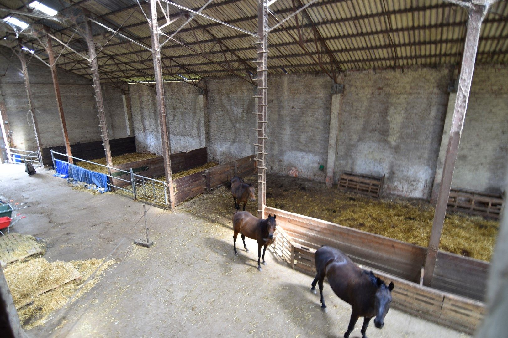 Uitzonderlijk vastgoed tussen Heulebeek en Leie op 4ha te koop in Kuurne foto 15