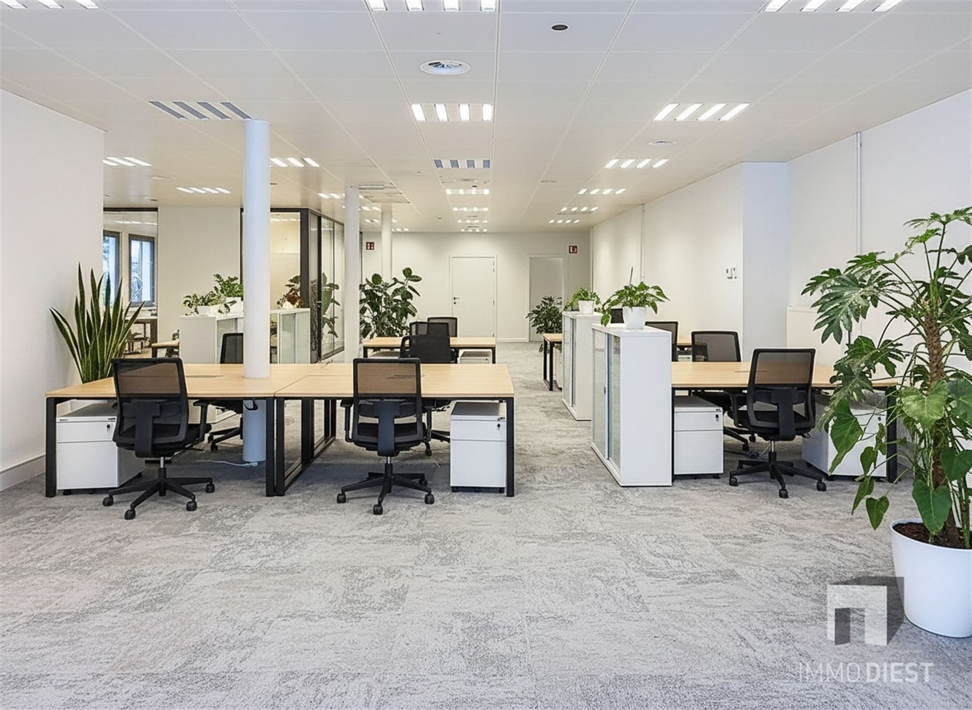 Ruim handelsgelijkvloers op Markt te Diest foto {{pictureIndex}}