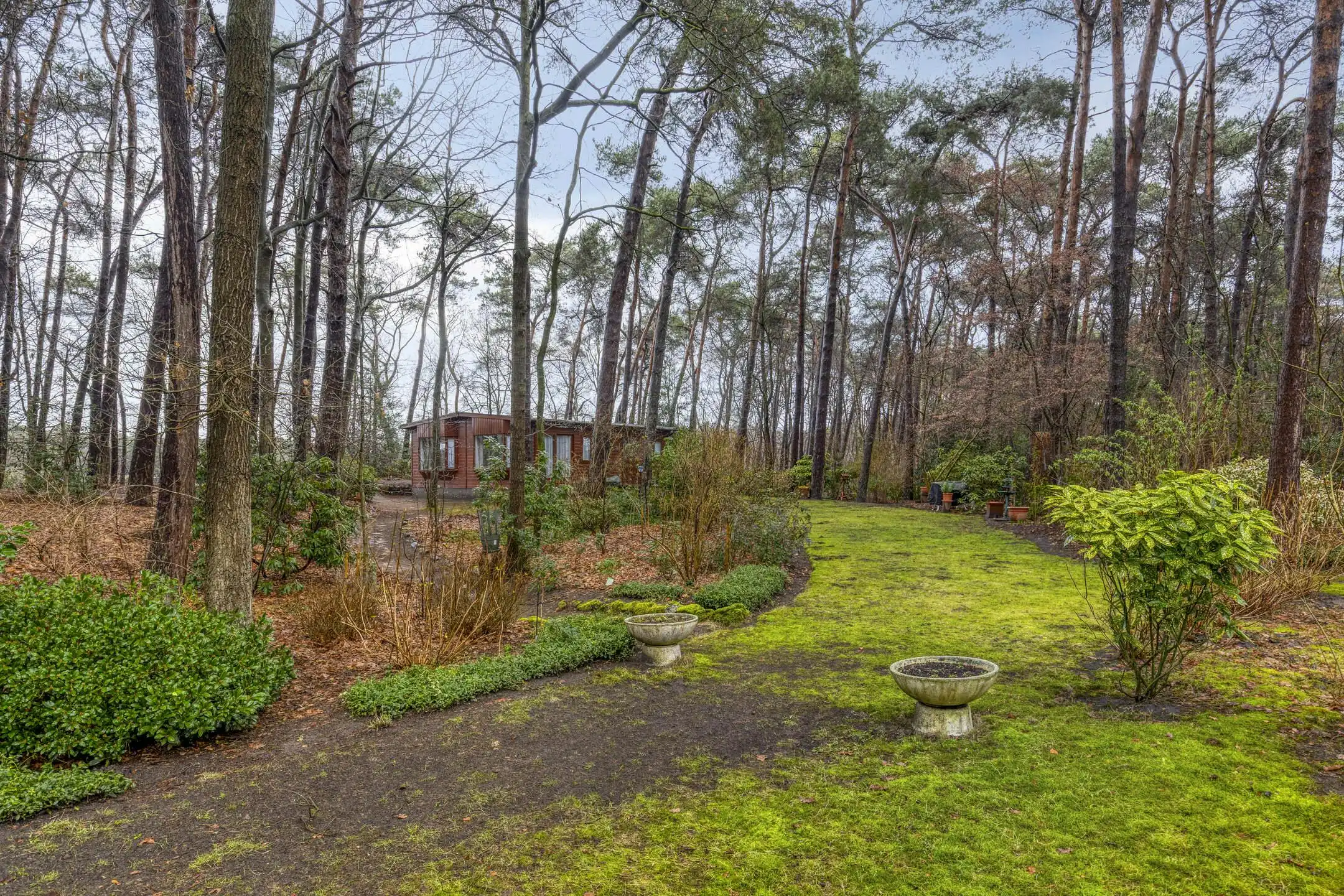 Verzorgde woning op prachtige bosgrond te koop in Wuustwezel foto 35