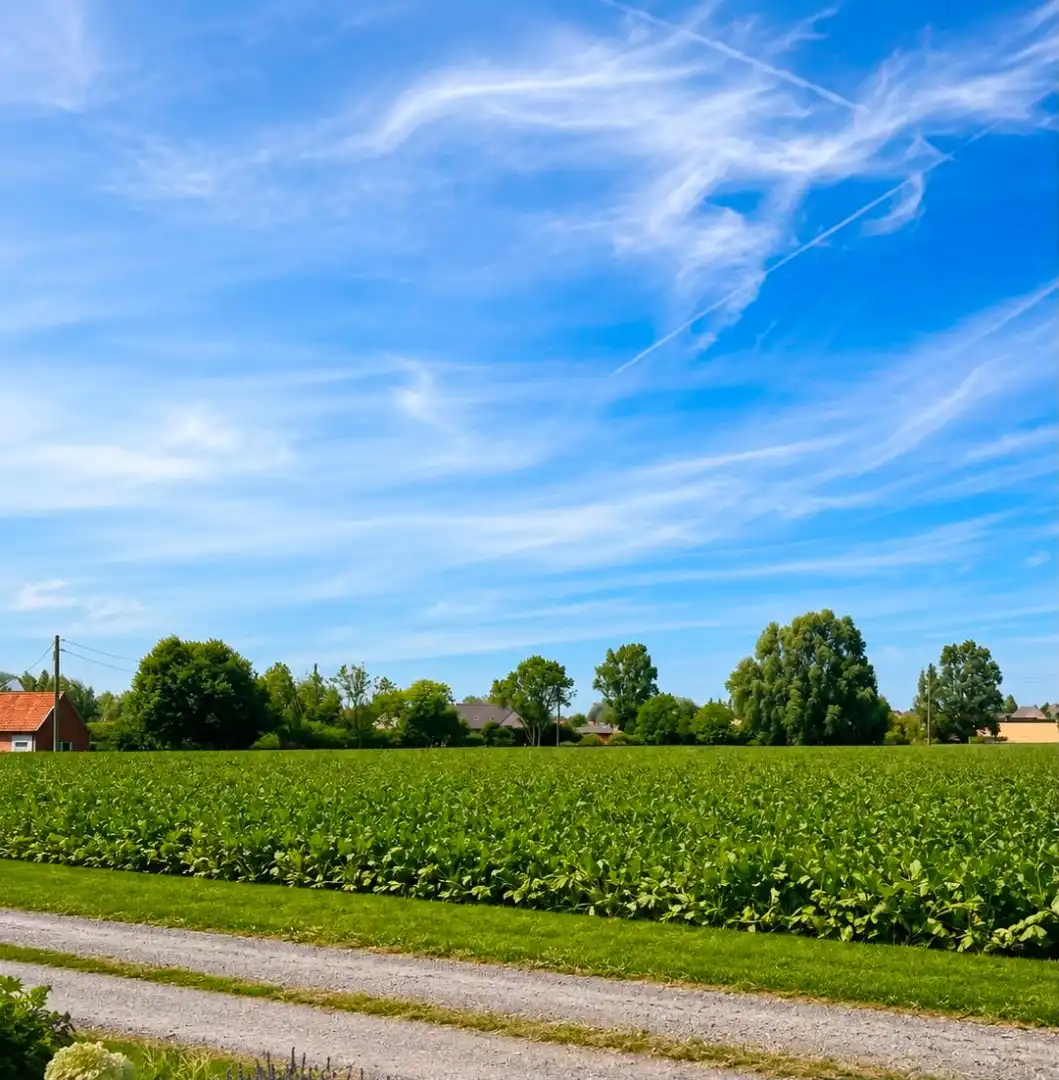 Woning te koop in het landelijke Tiegem met veel potentieel foto 2