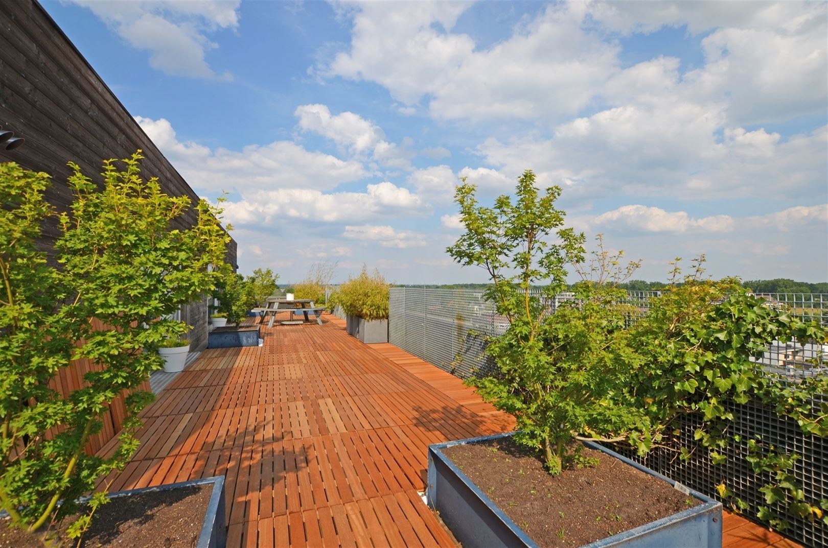 Penthouse op Hollandsveld met ±150m² terras foto 2