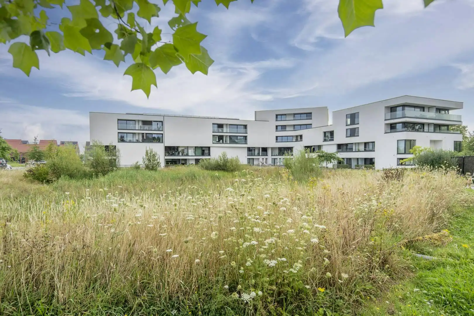 Verzorgde assistentiewoning met terras te Zwevegem foto 9