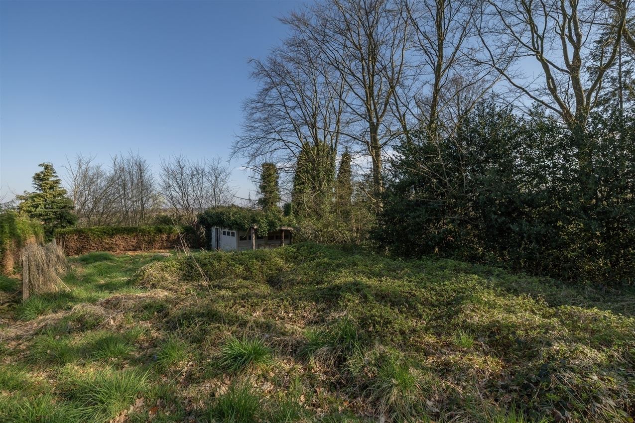 Uniek perceel, groot tuindeel zuidwest, klein weiland op top heuvel foto 4