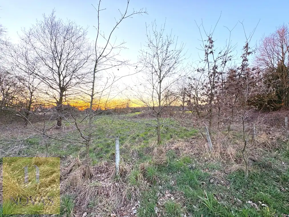 Mooi perceel landbouwgrond aan de straat, 17are 25ca foto 5