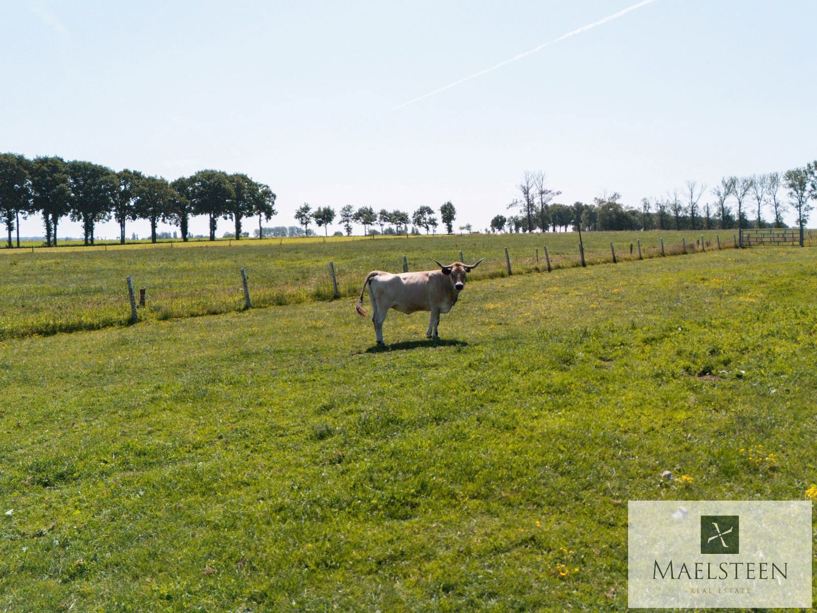 Boerderij met 7,8ha op de flank van Oedelem-berg  foto 7