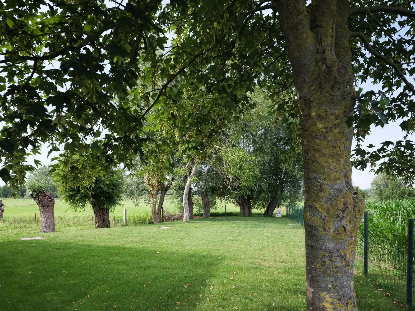 Exclusieve farmhouse te midden van de velden in Drongen foto 18