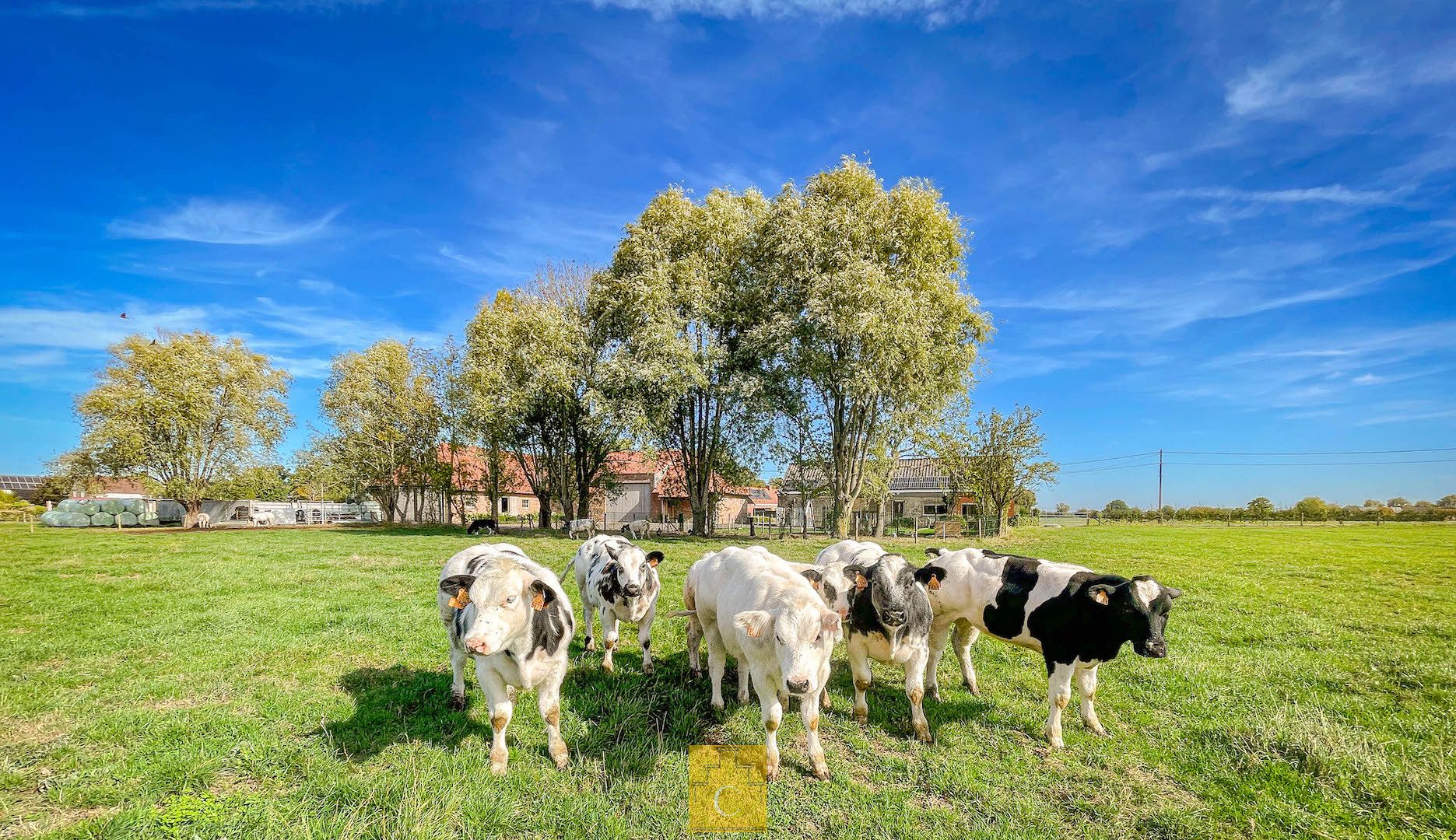 Boerderij met nieuwbouwloods (+400M2) en woning op 11.776 m² foto 24