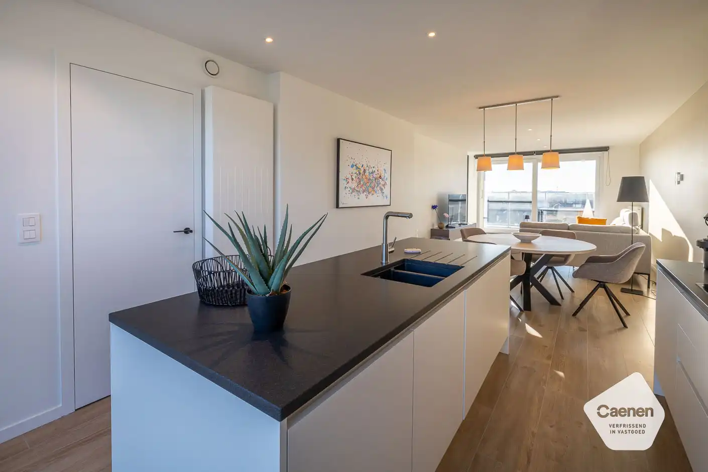 Luxe-appartement op wandelafstand van zeedijk en duinen foto 4