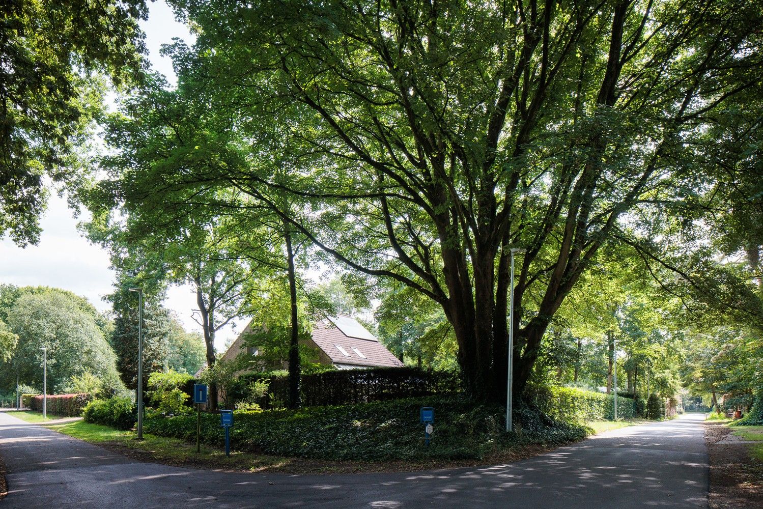 Gunstig gelegen villa op 1.989 m2 in doodlopende straat foto 30