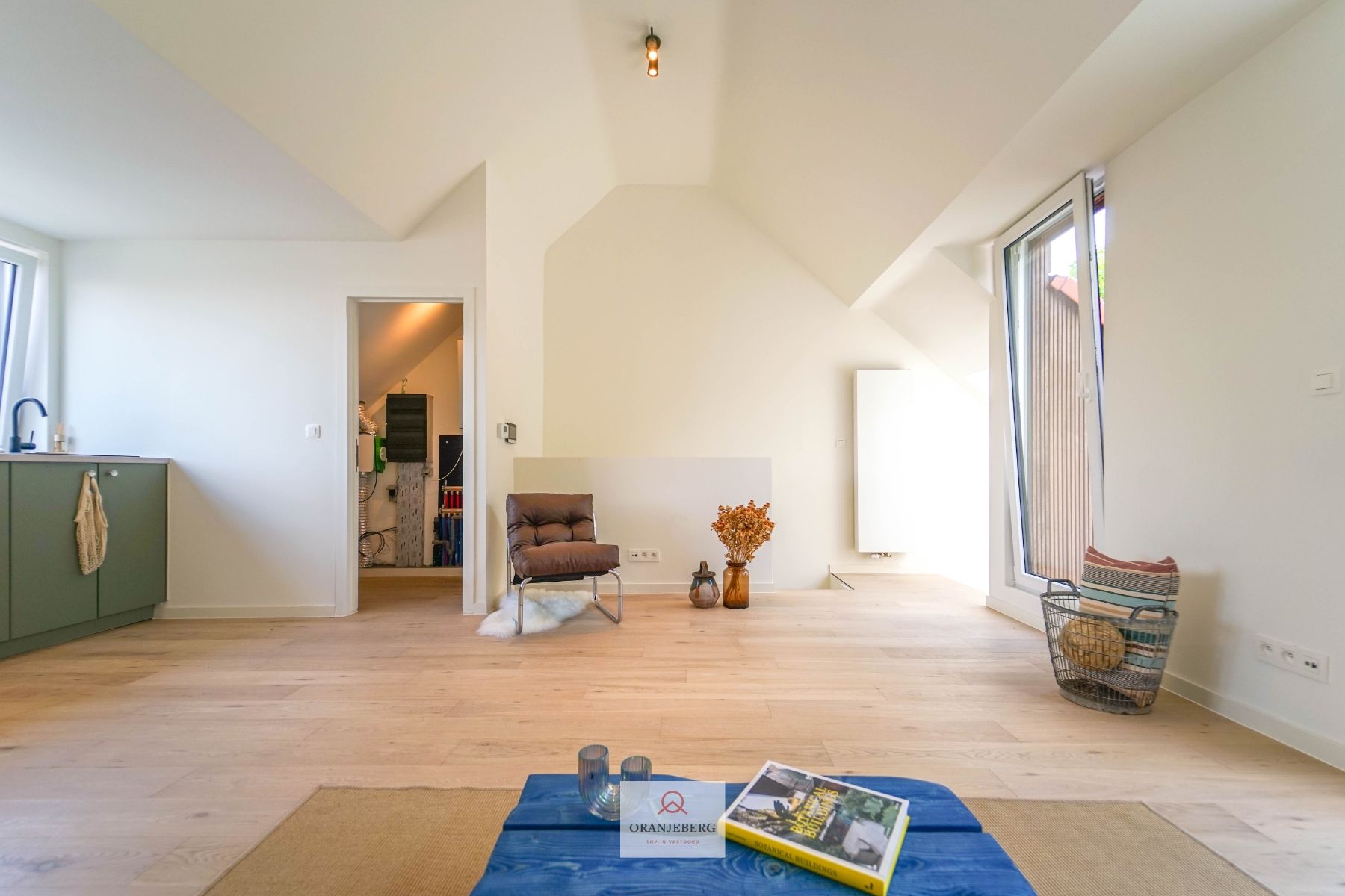 Gerenoveerd penthouse met zonnig terras in Gent foto 6