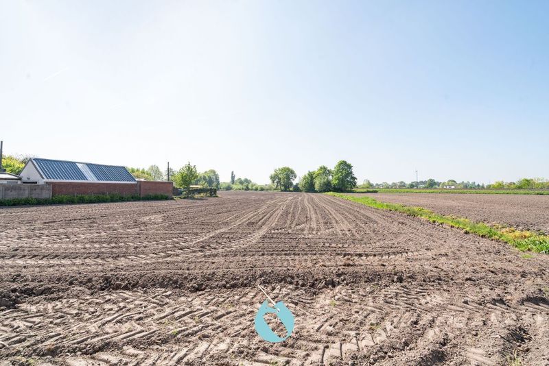 Zuid georiënteerd perceel bouwland van 5.506 m² te Evergem foto 6
