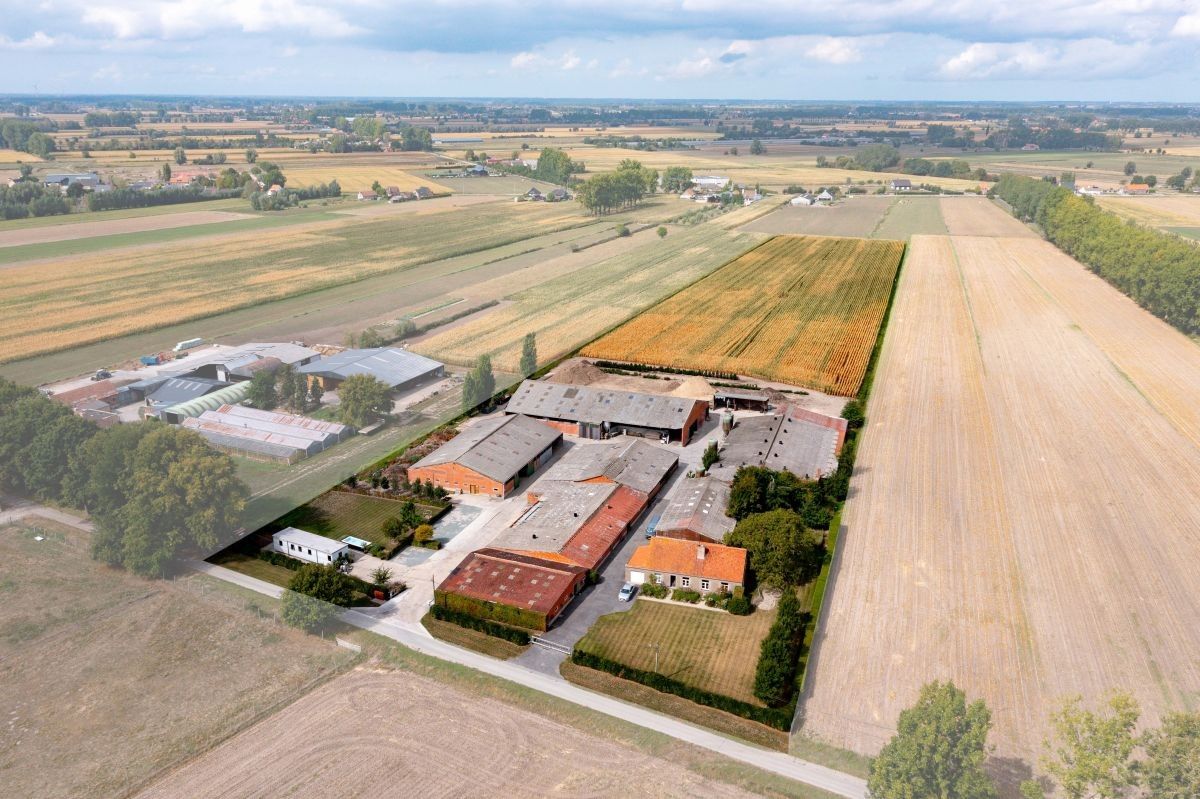 Hoeve op 4,13 ha te koop te Kaprijke foto 2