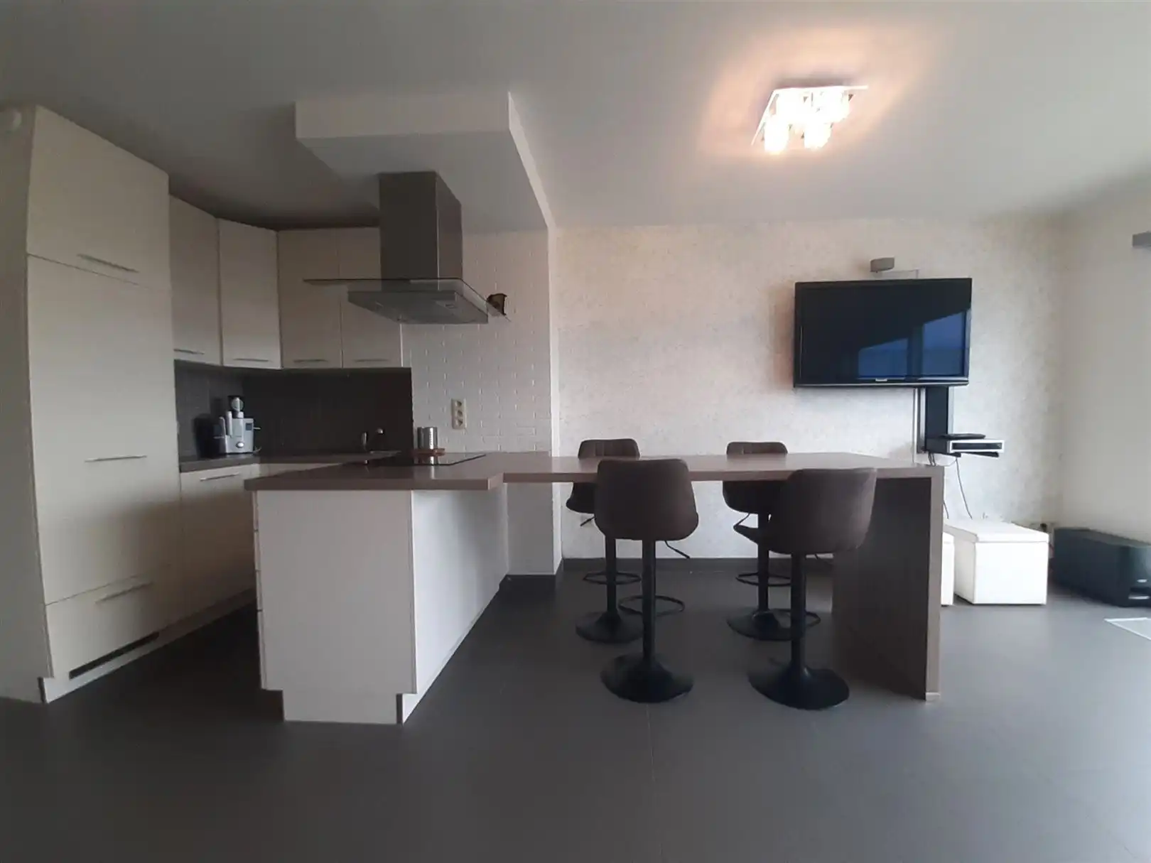 Gemeubeld 1-slaapkamerappartement met zonnig terras foto 8