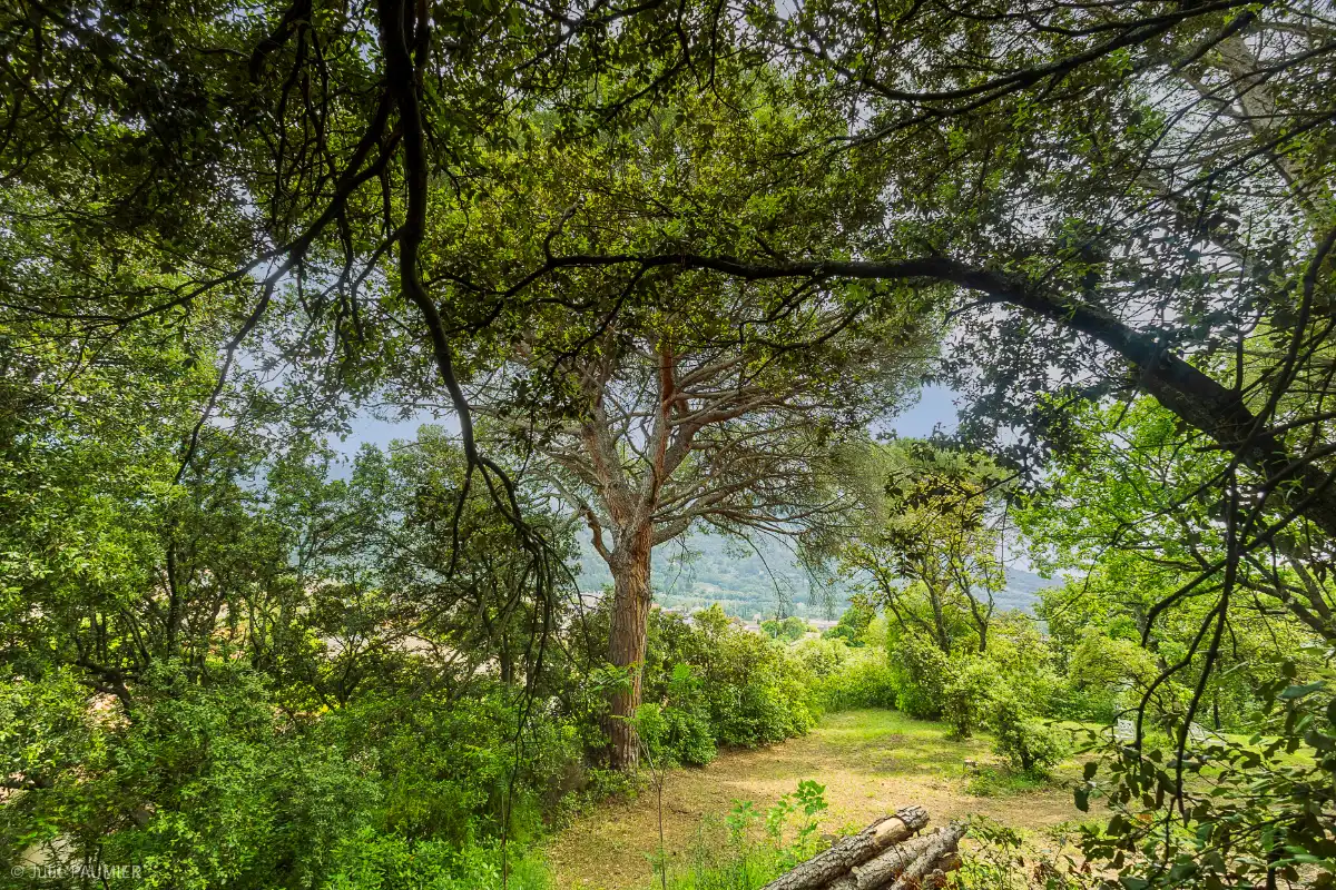 Petit-Château in de provence (Nyons) foto 23