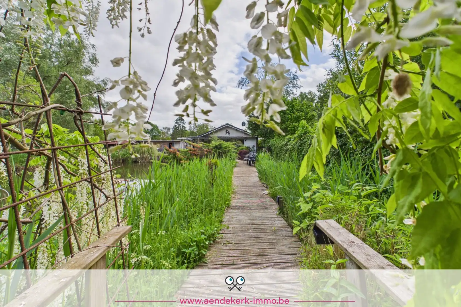 Bijzondere recreatie-eigendom met vijver en bemeubelde chalet te Maaseik foto {{pictureIndex}}