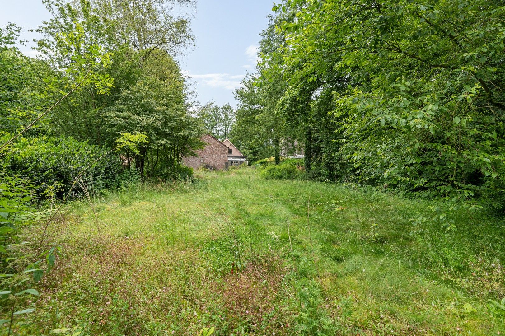 Vrijstaande woning en bijgebouw op prachtig domein 2.400 m² foto 12