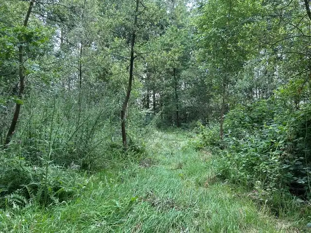 Bosgrond te koop gelegen De Potters te Herselt foto 5