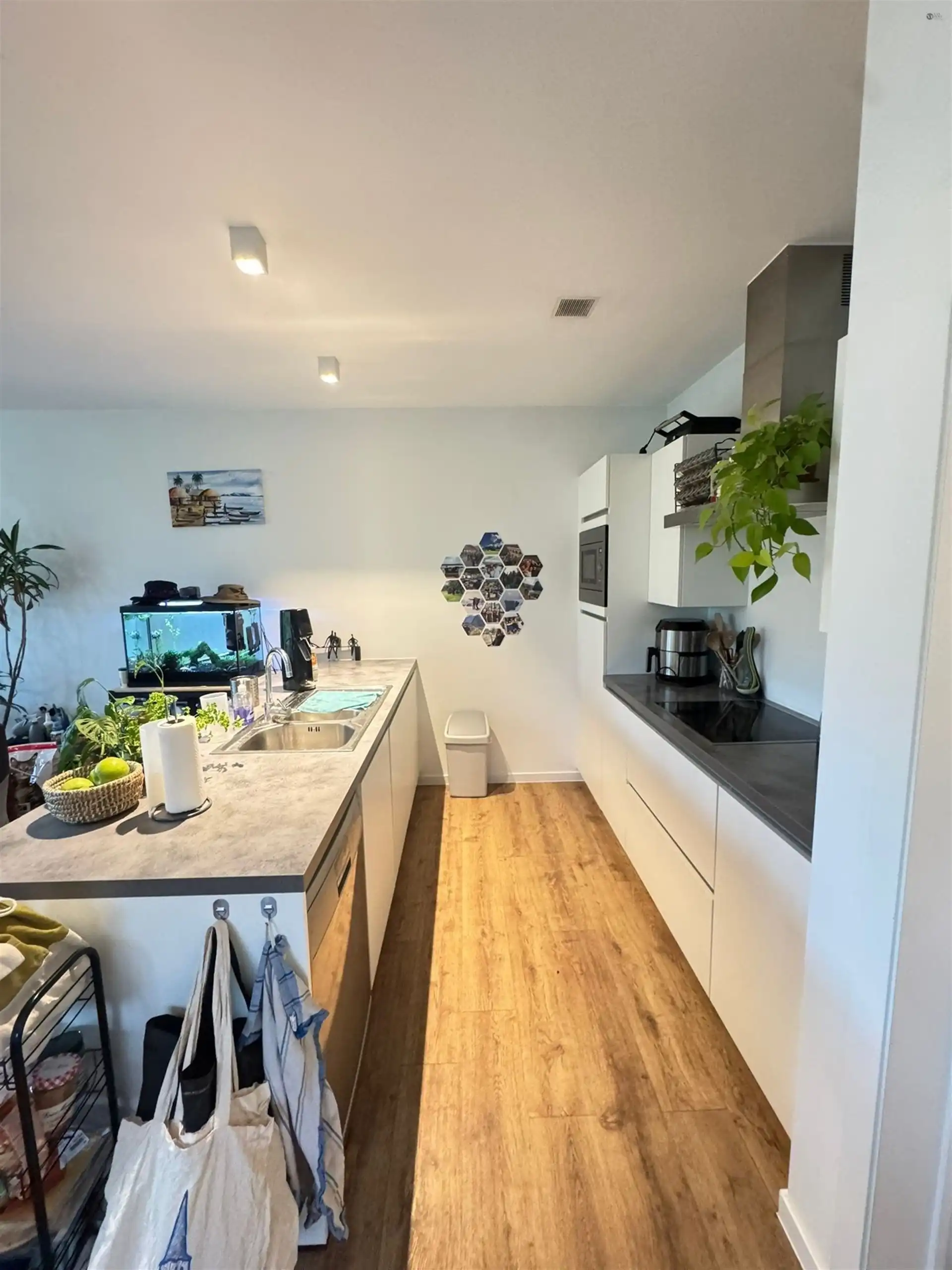 Energiezuinig gelijkvloers appartement foto 6