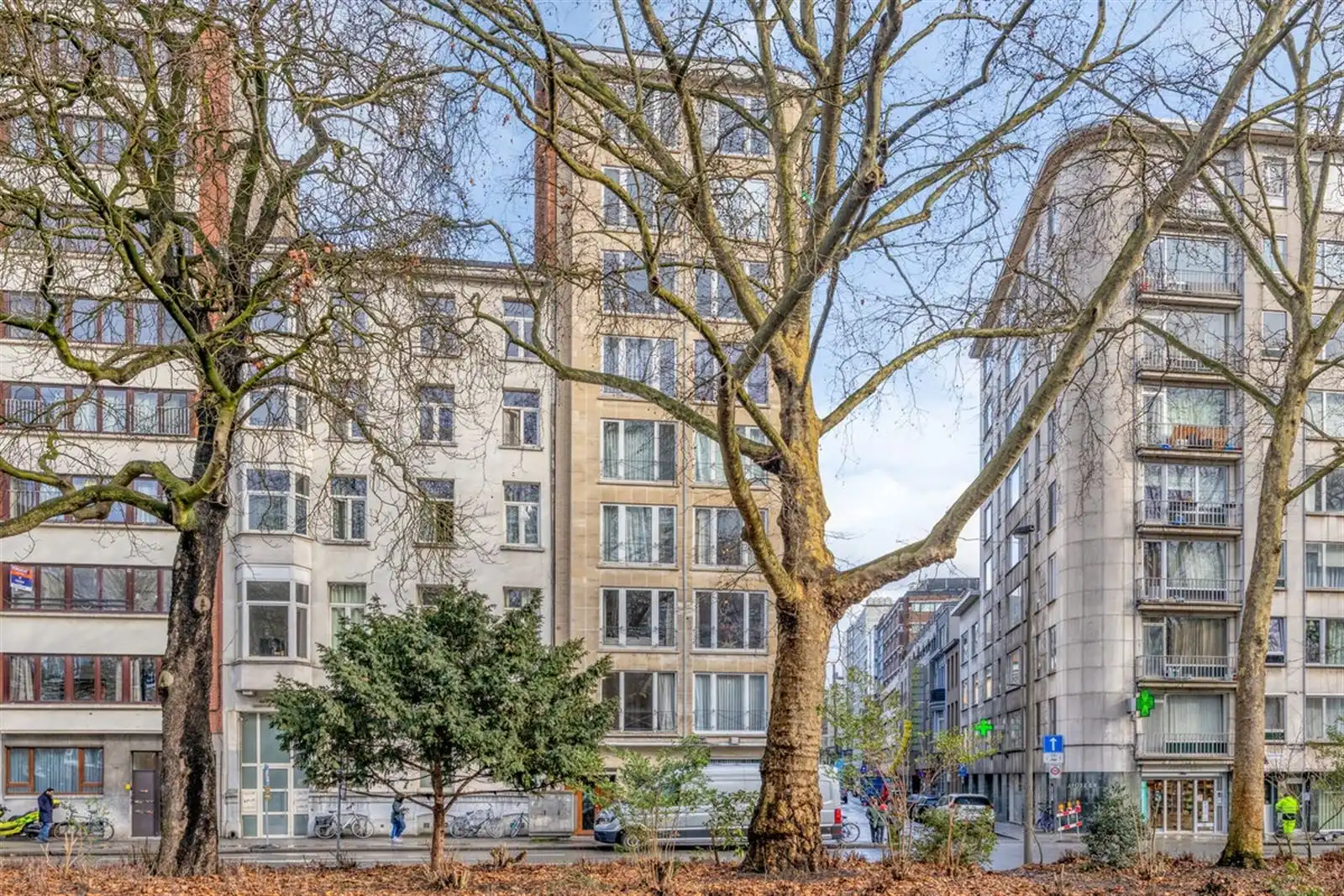 Stadspark: ruim 2slpk appartement en veel potentieel foto {{pictureIndex}}