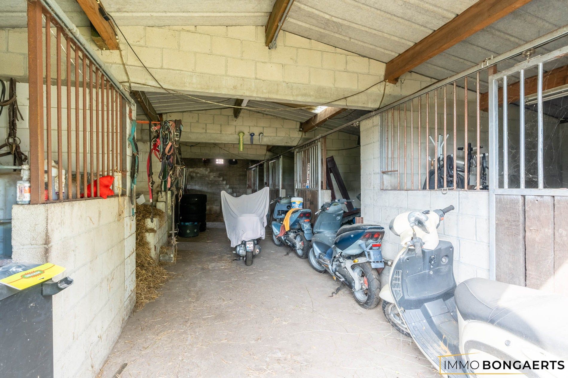 Rustig gelegen te renoveren woning op een uitzonderlijk perceel foto 32