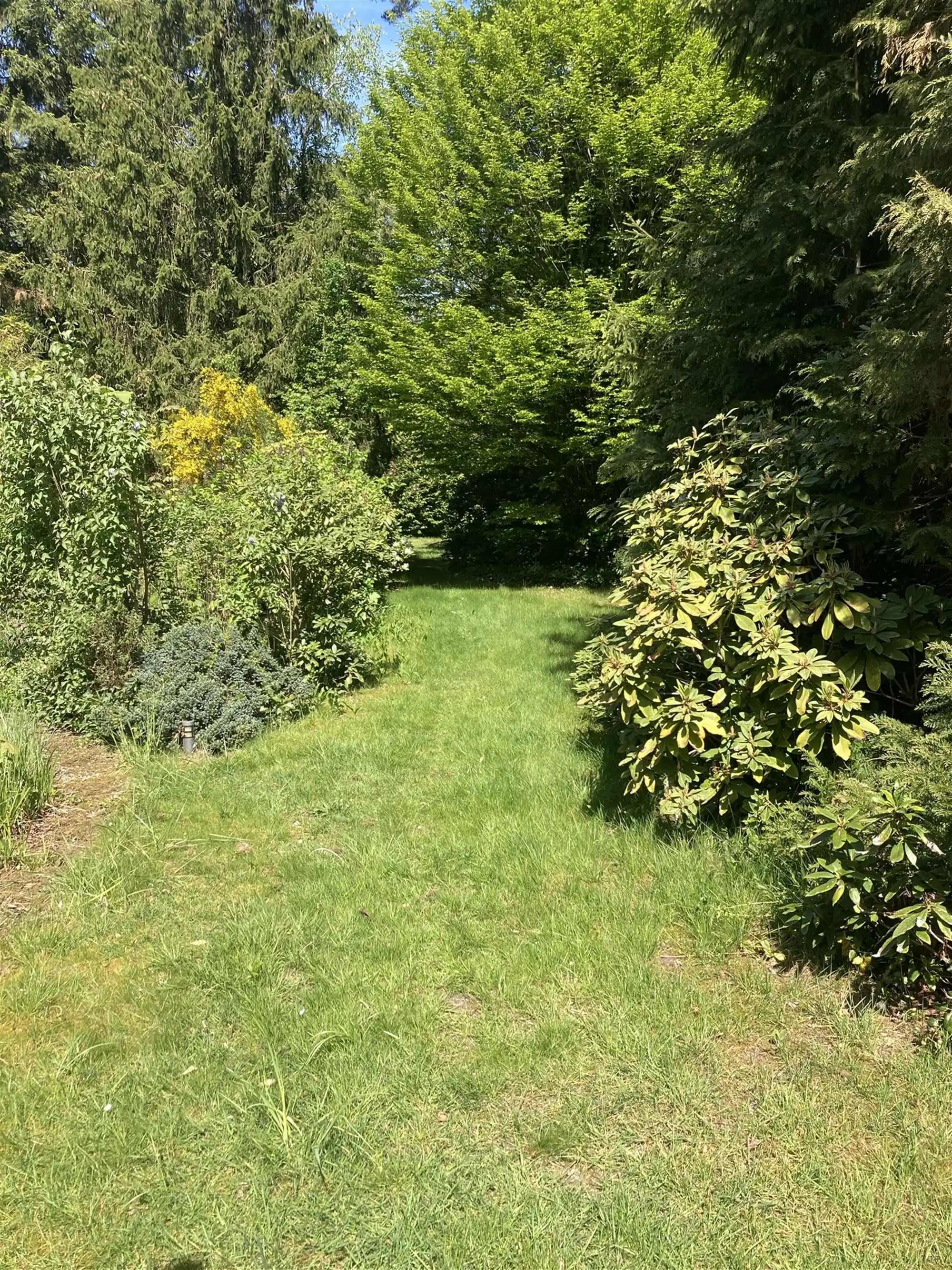 instapklare vakantiewoning in een uniek natuurgebied foto 16