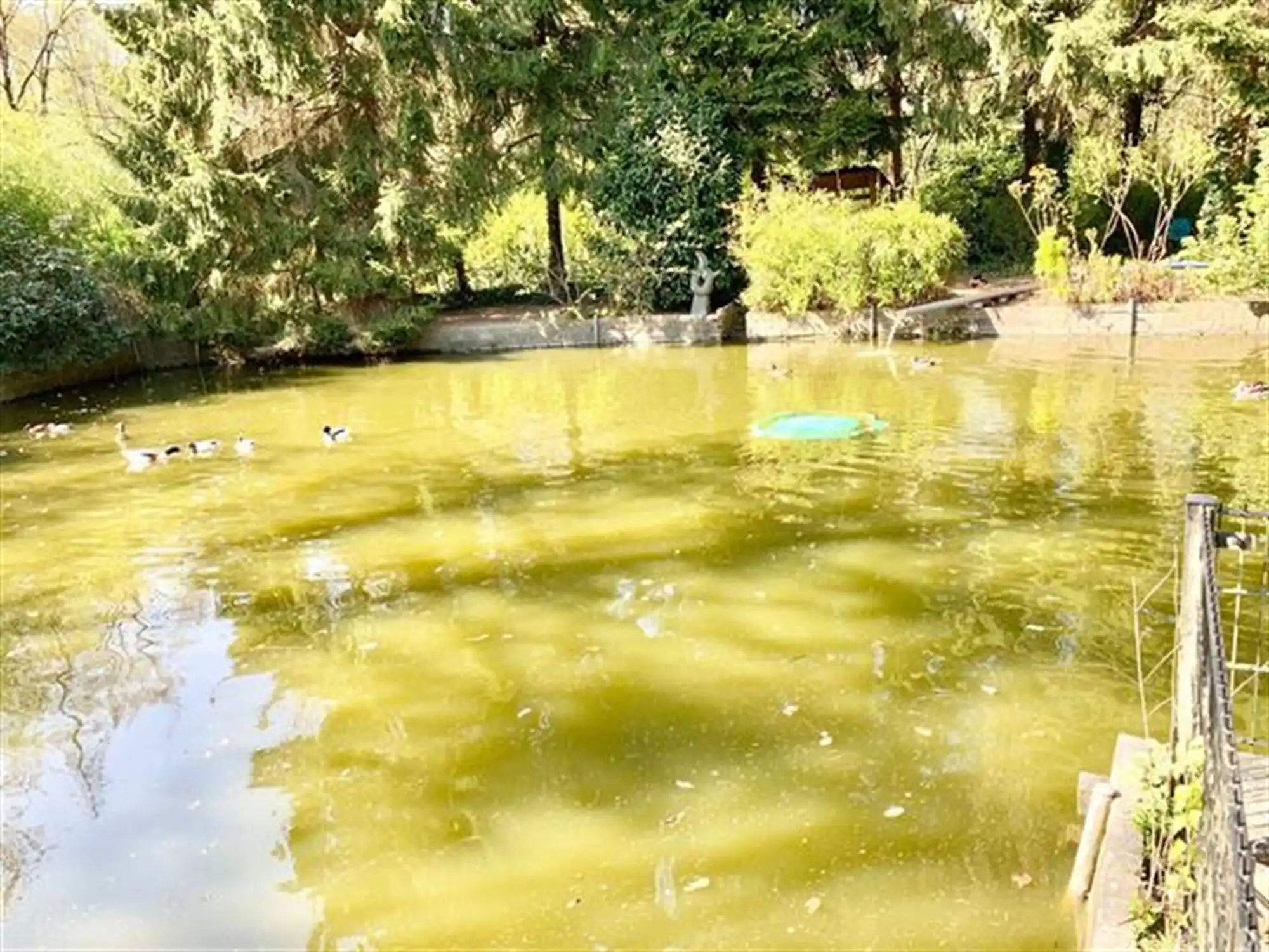 instapklare vakantiewoning in een uniek natuurgebied foto 16