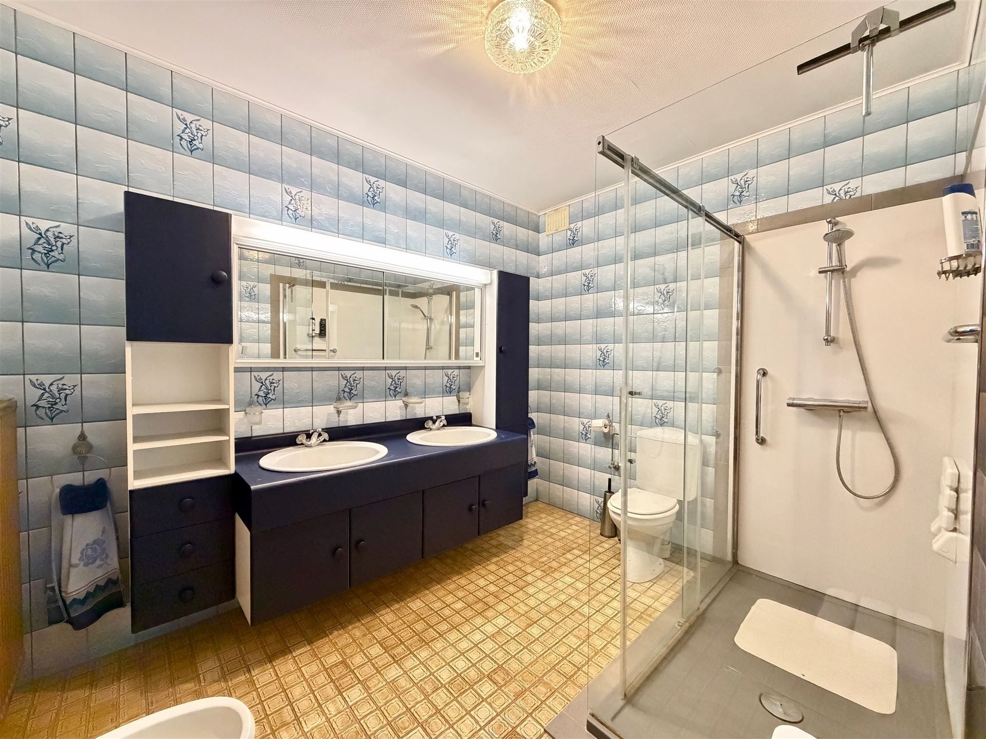 Zeer ruime villa (483 m²) op 16a48ca in Dilsen-Stokkem, goed onderhouden en vol potentieel om te transformeren tot uw hedendaagse droomwoning. foto 19