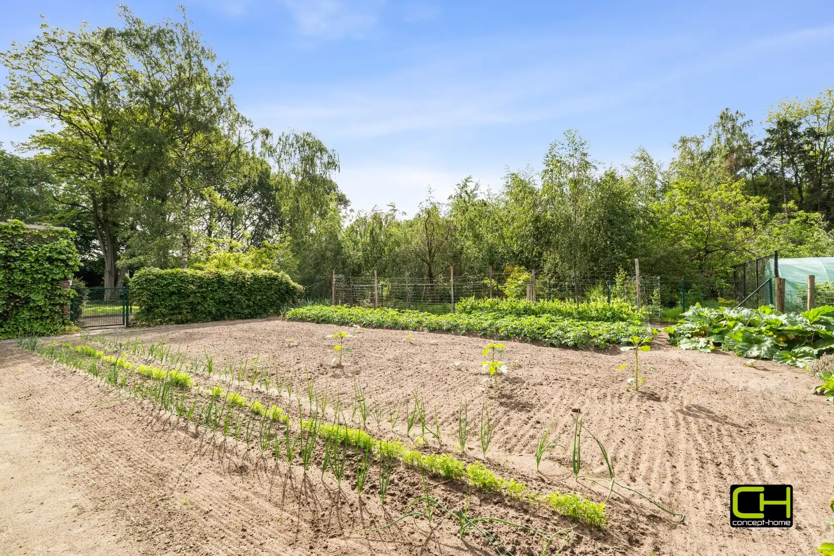 Rustig gelegen open bebouwing met ruime tuin in het groene Sint-Kruis-Winkel foto 19