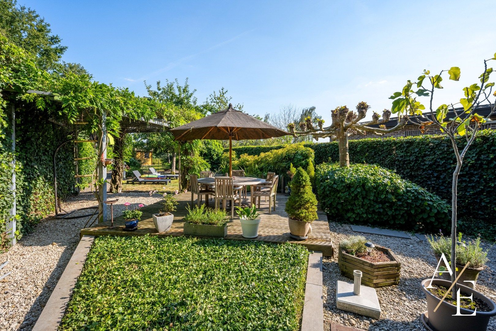 WICHELEN - Landelijke grote woning met prachtige tuin! foto 13