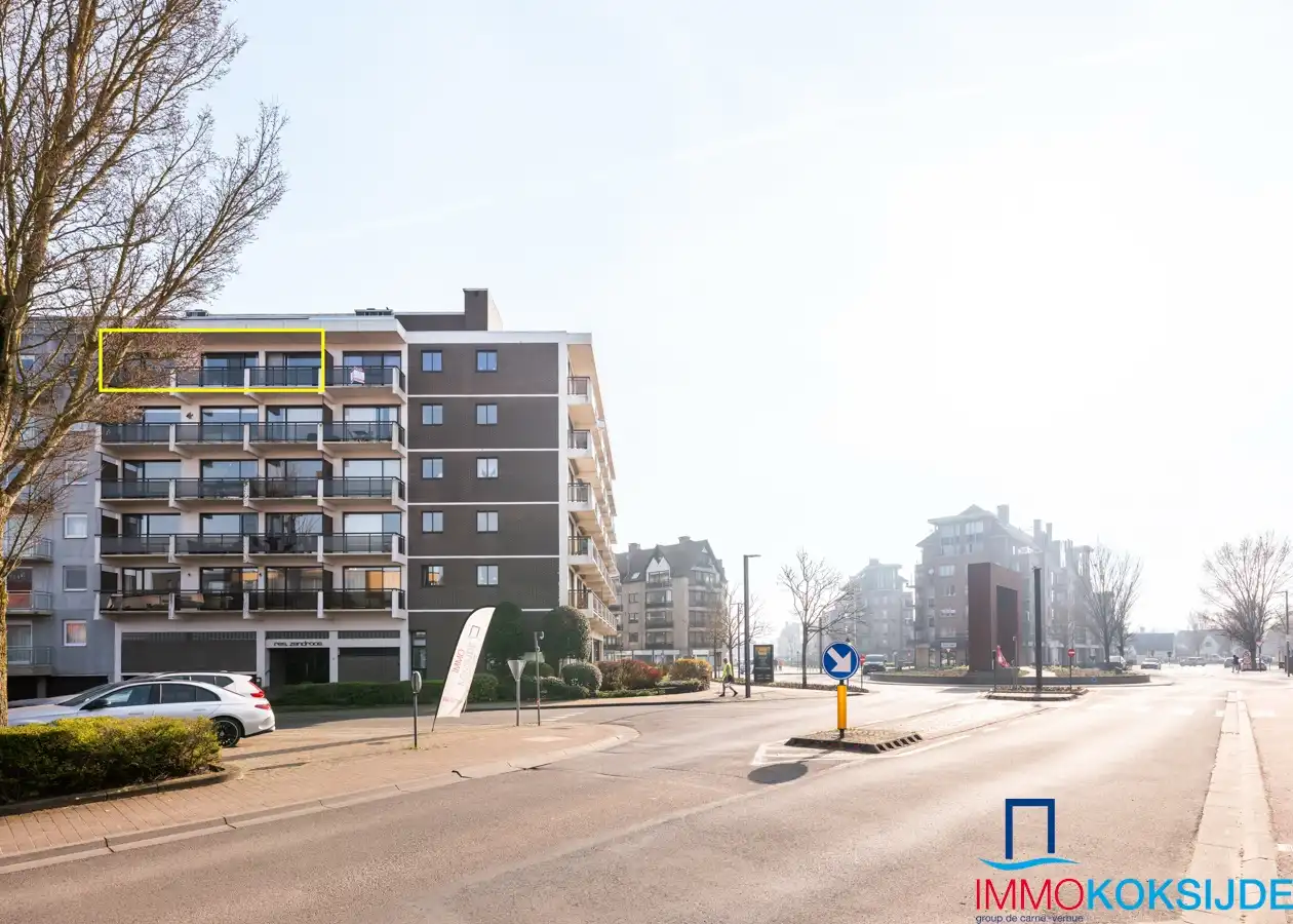 Zandroos I 05.01 Koksijde foto 18