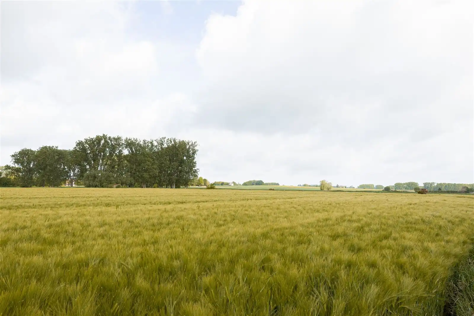 Gerenoveerde gezinswoning met tuin nabij centrum foto 20