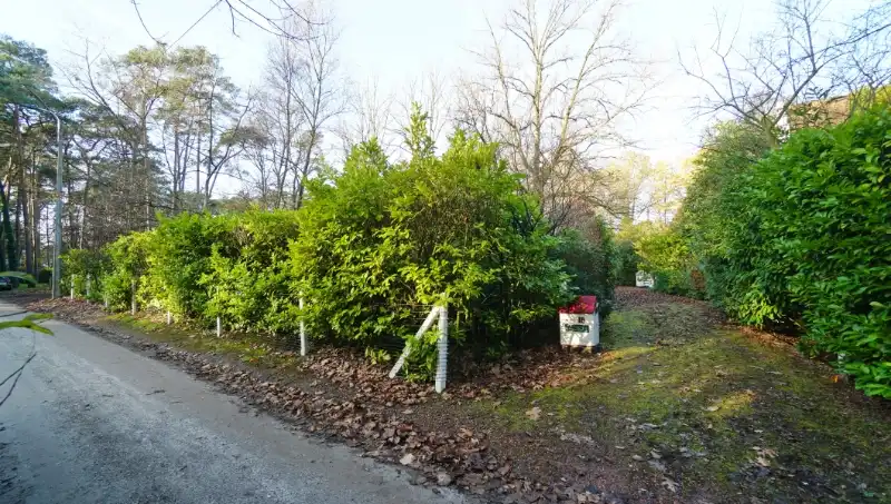 Bouwgrond van 50 are met perceelsbreedte van 30 meter foto {{pictureIndex}}