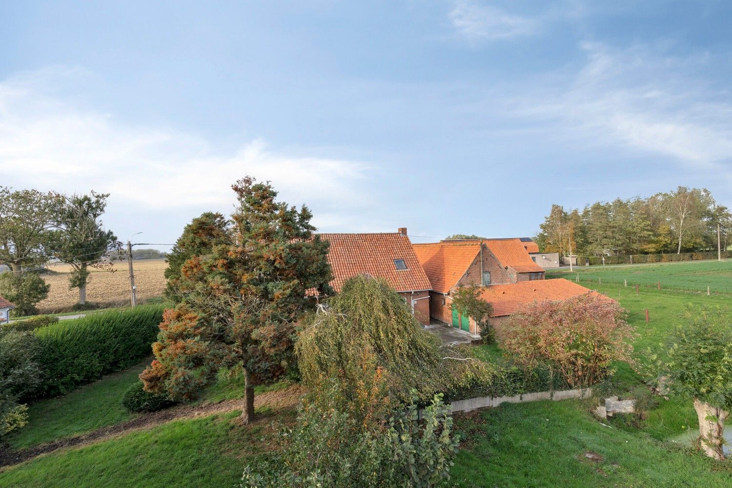 Beveren aan de IJzer: Charmant en historisch hoevetje met woonhuis, diverse stallingen, loods en weide op 3.967m² totale grondopp. foto 17