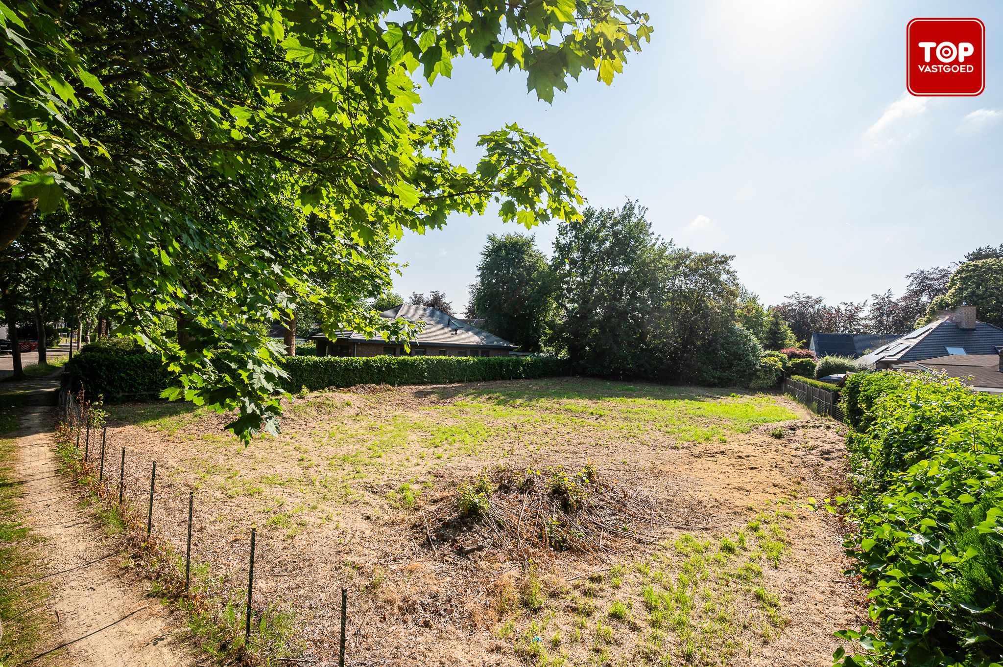 1200m² grond met tal van mogelijkheden foto 5