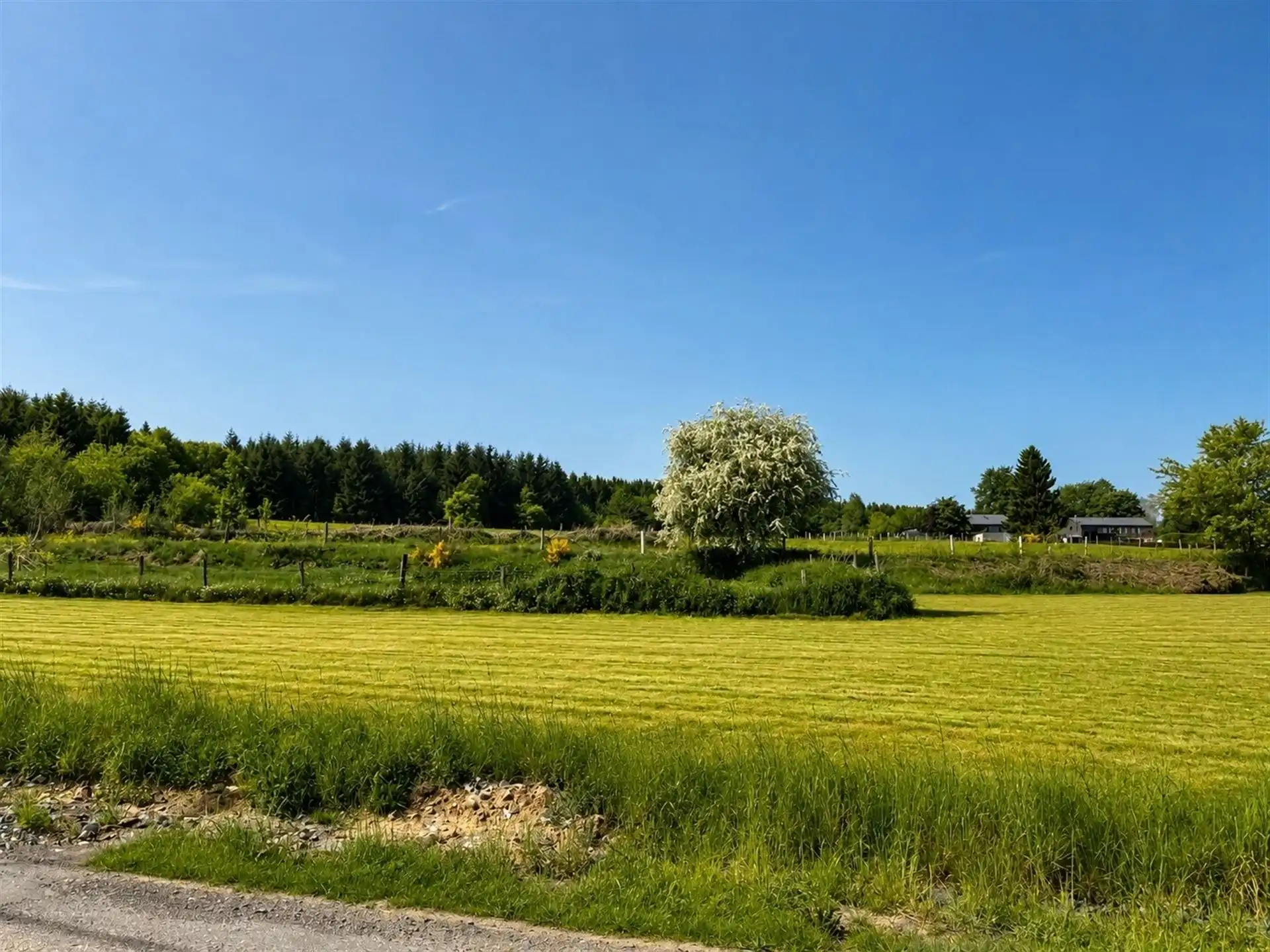 Nieuwbouw met prachtig uitzicht + 3% reg. foto 17