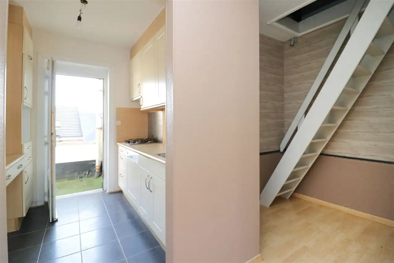 charmant, ruim, mogelijkheid beroep of kangoeroe foto 15