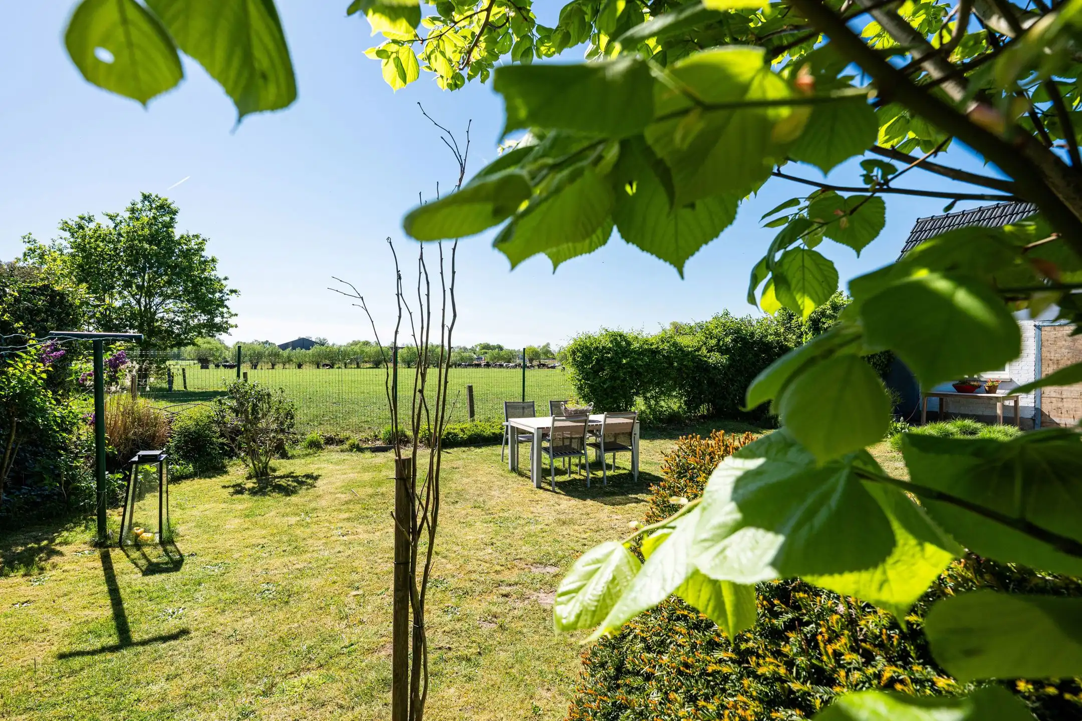 Huis te koop foto 15
