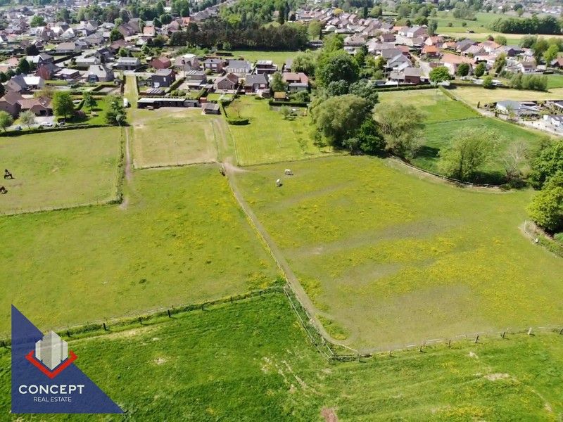 Instapklare woning met 3 slaapkamers met achterliggende paardenweides. foto 53