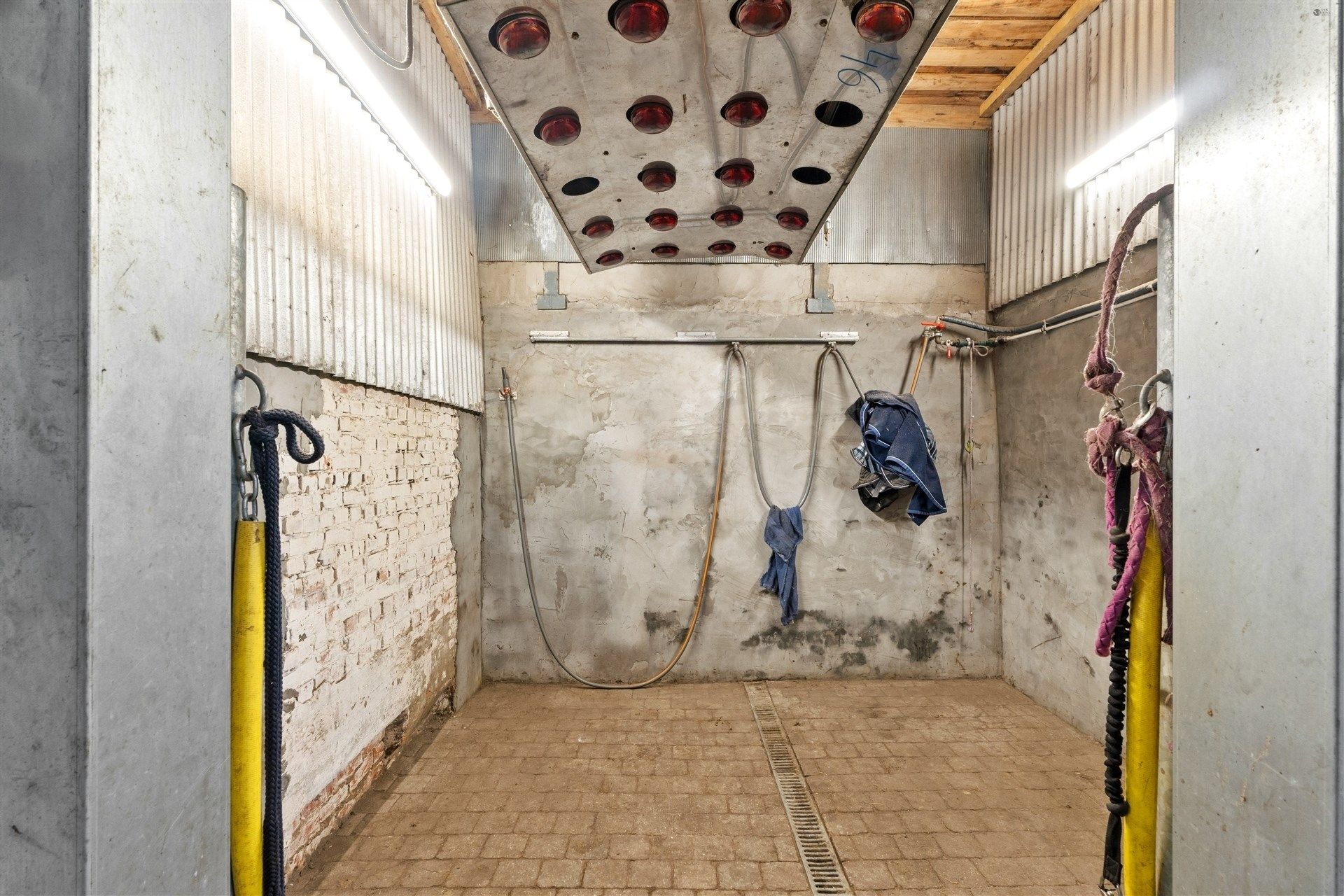 Open bebouwing + stallen op 11.268m² foto 27