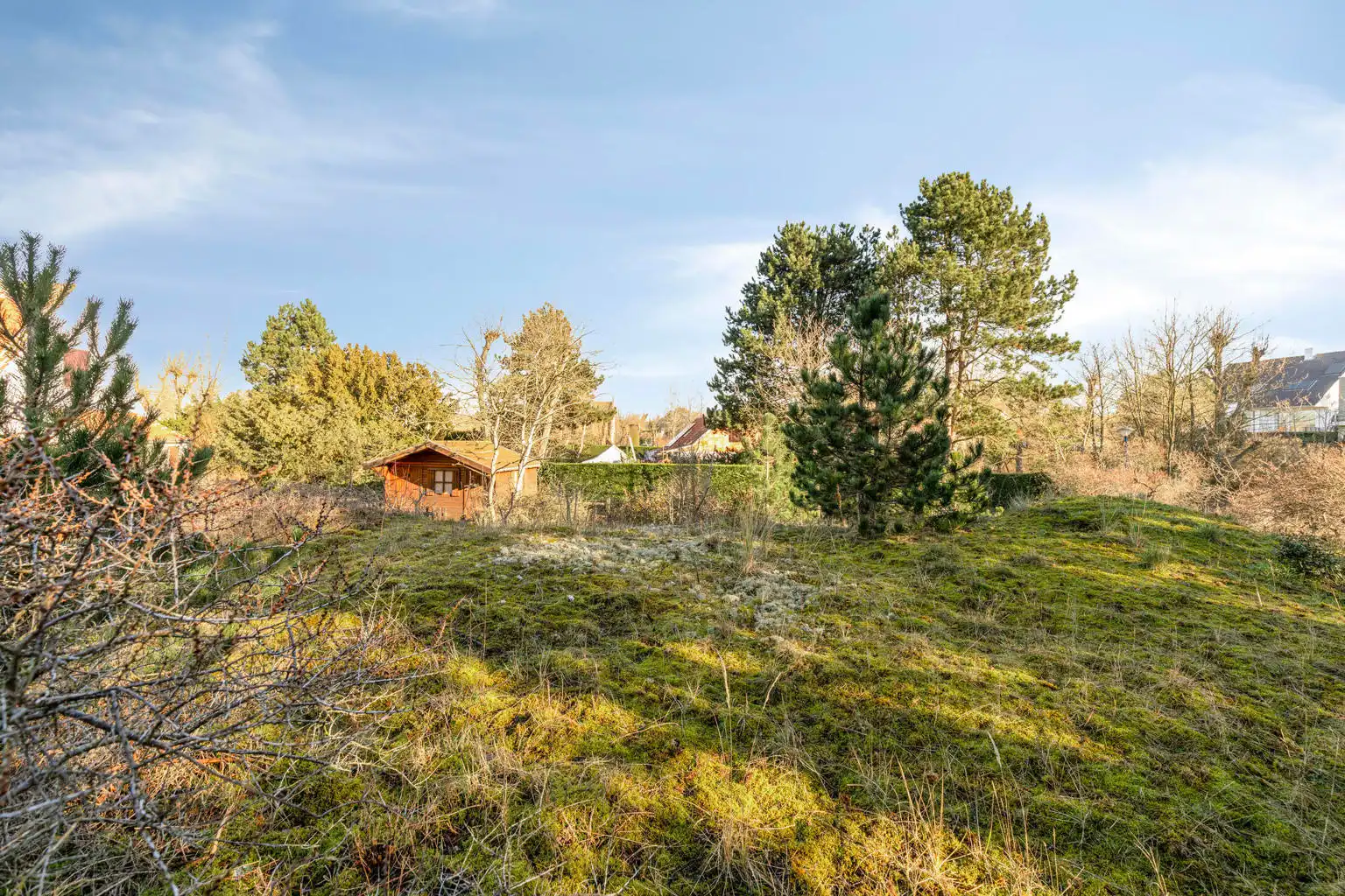 BOUWGROND VOOR EEN EENGEZINSWONING IN OPEN BEBOUWING IN KOKSIJDE foto 3