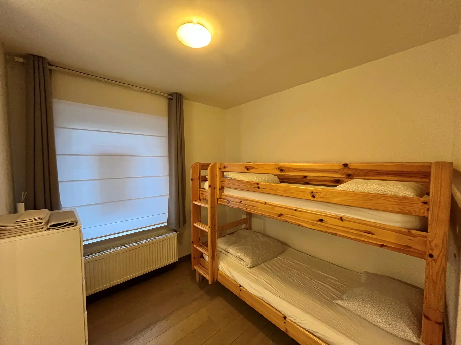 Gelijkvloers appartement op wandelafstand van de Lippenslaan foto 8