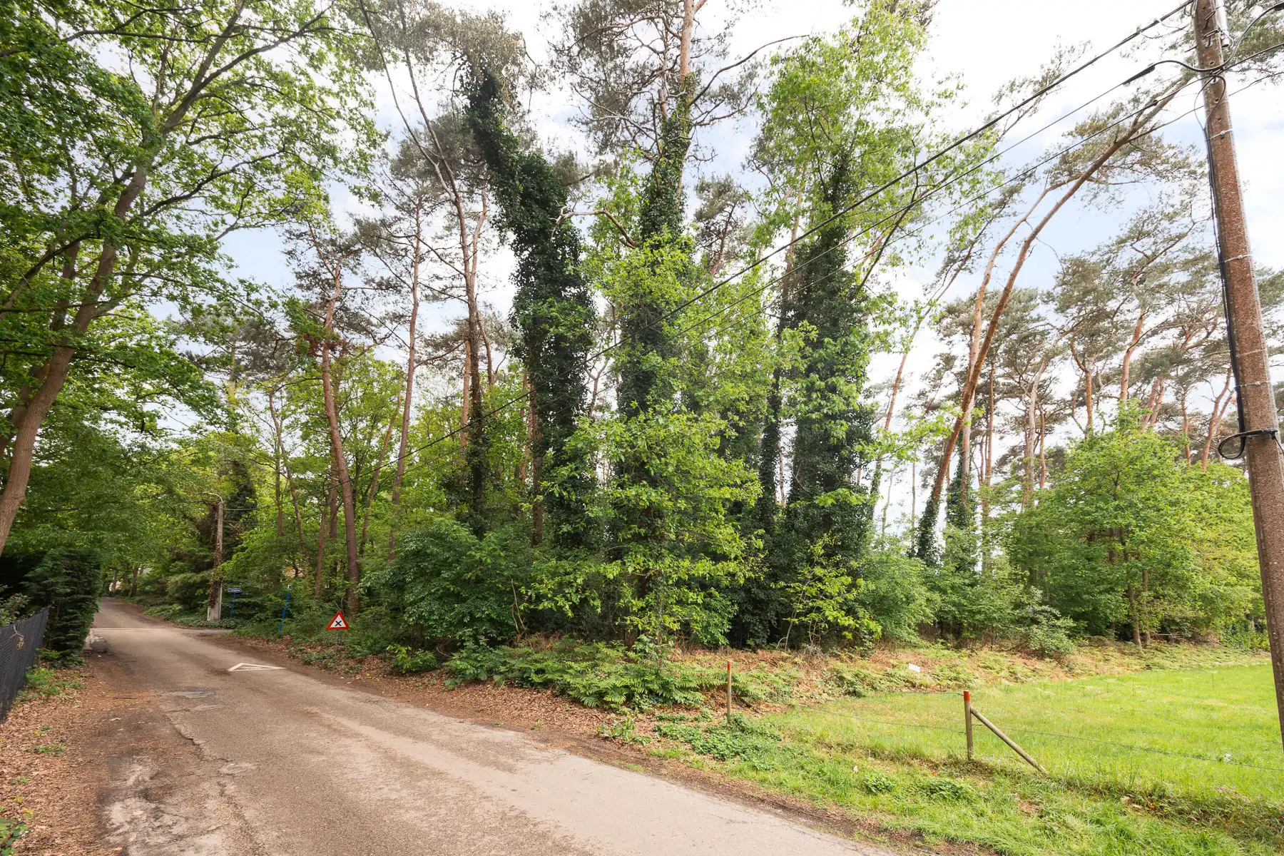 Exclusieve, ruime bouwgrond in het groen foto 6