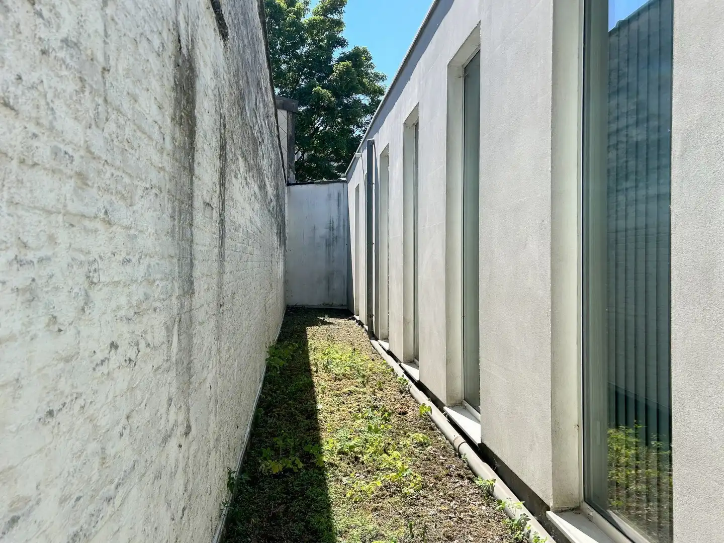 Amerikalei 185-189 foto 12