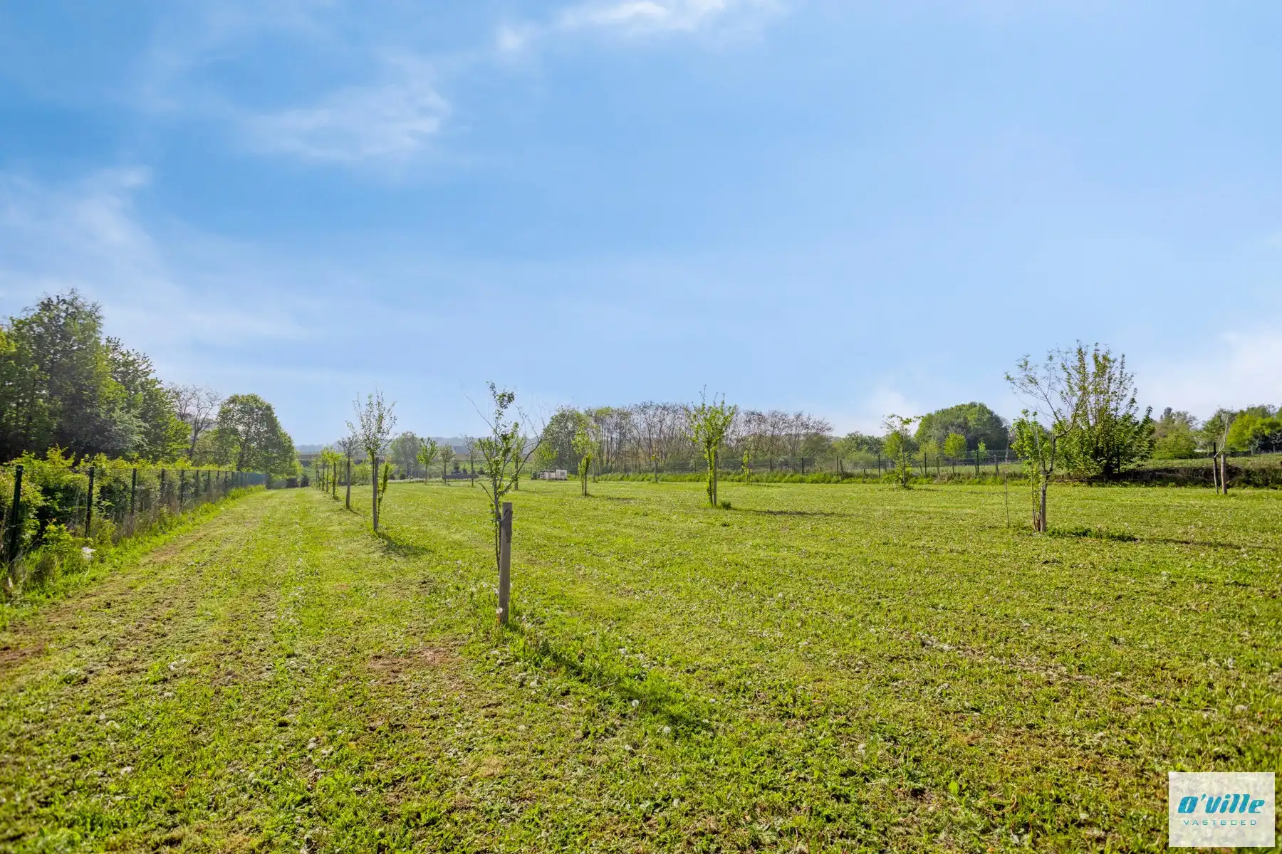 Exclusieve bouwgrond met achterliggend weideperceel voor paarden. foto 14